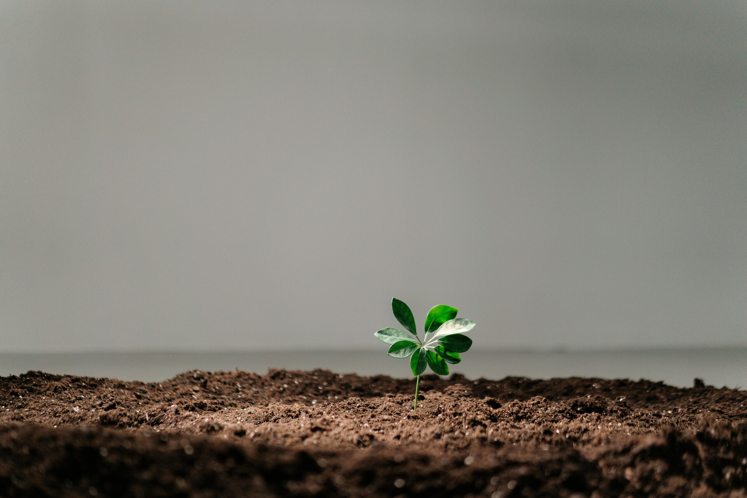 Owatonna, MN Hypnotherapy | Edgewood, NM Therapy | Albuquerque, NM Therapy