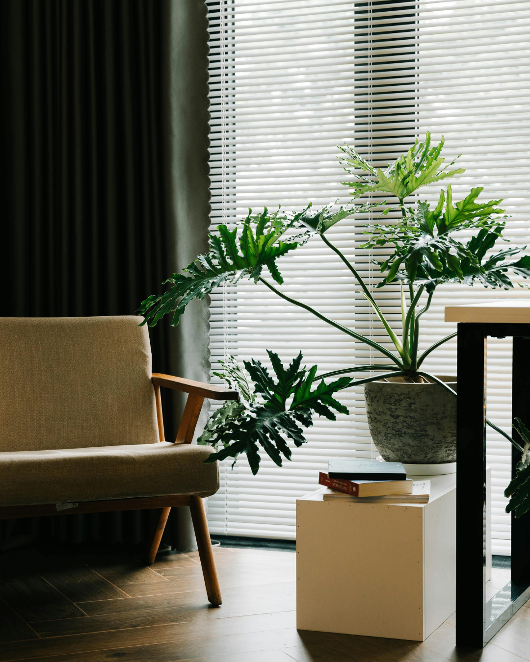 CBT Therapist | The Lighted Path LLC