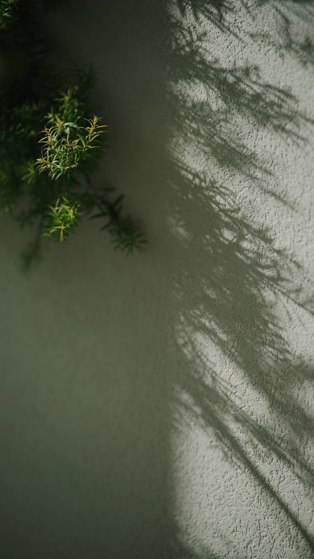 Rational Emotive Behavior Therapy (REBT)