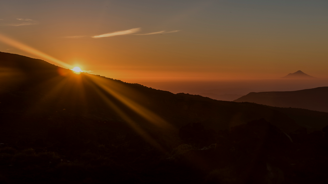 Trauma Focused Therapy | The Lighted Path LLC