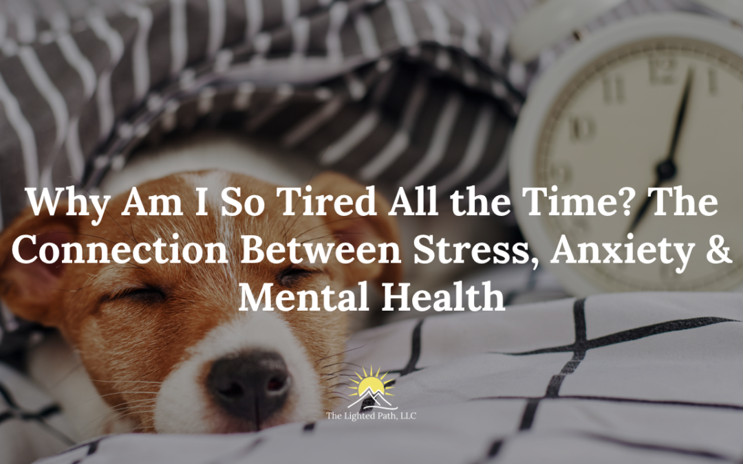 Why Am I So Tired All the Time?